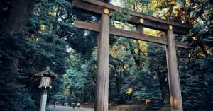 Tokyo Temple Hopping: Your Friendly Guide to Sacred Sites on the Yamanote Line